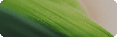Background detail